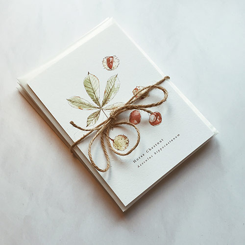 set of seasonal hand illustrated post cards