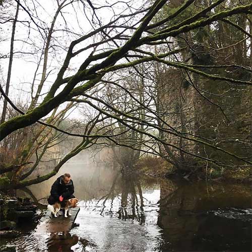 woodland scene with a man walking a dog near a river