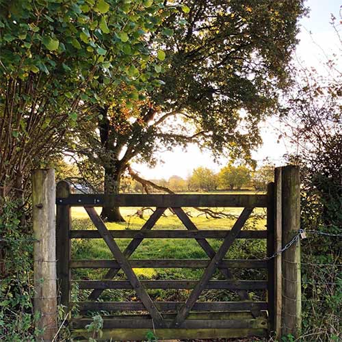 a wooden gate entrance to the woodlands