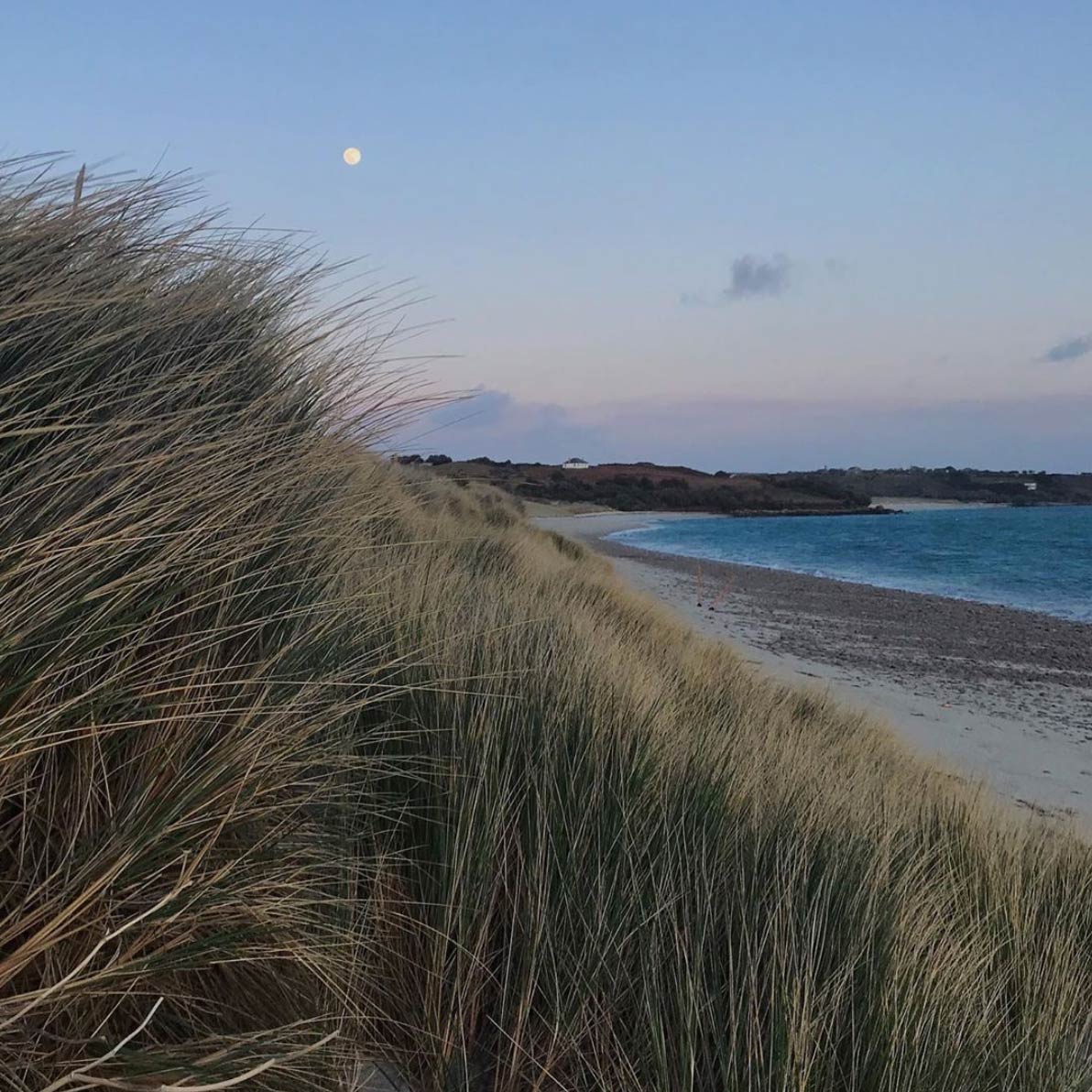 moon shining on island shore