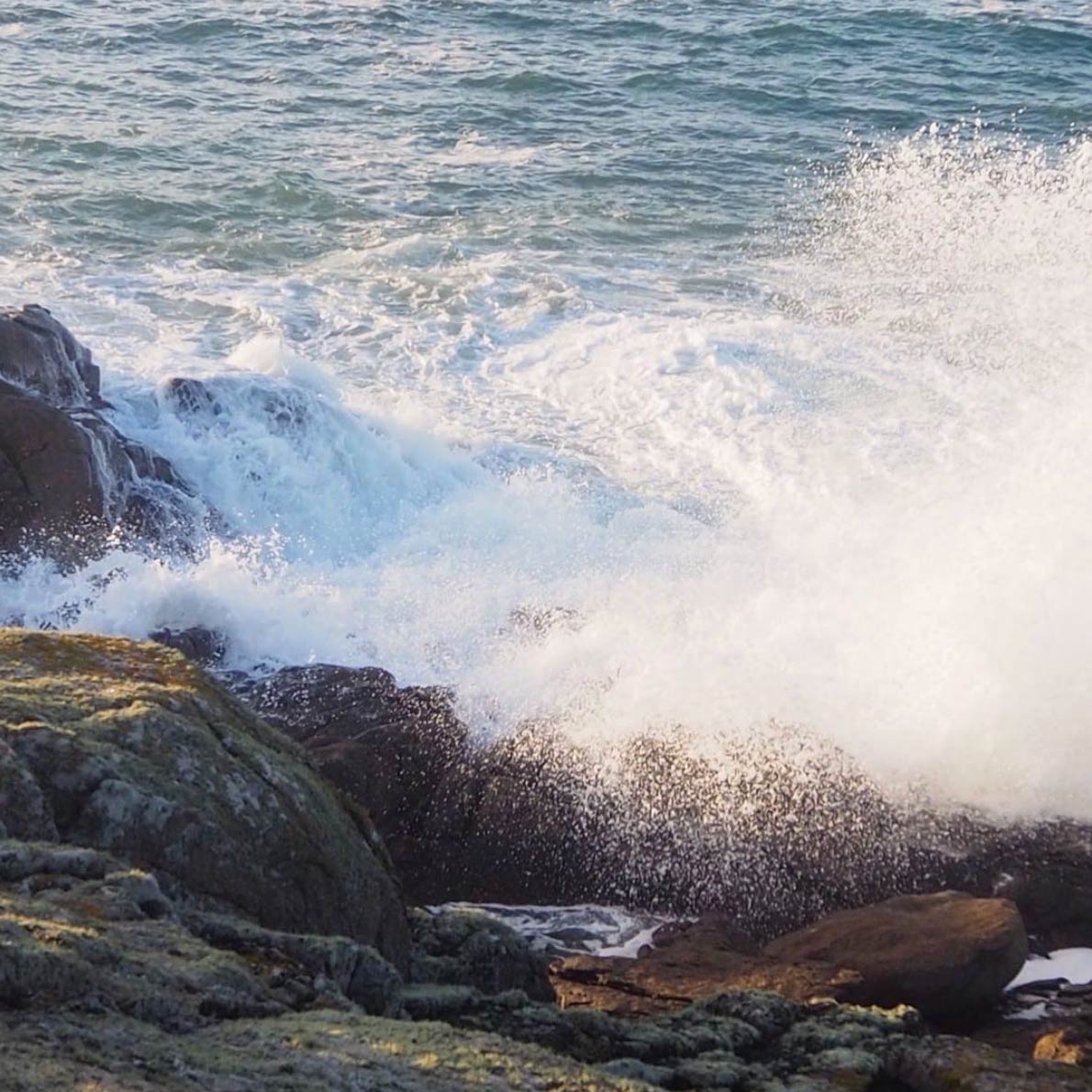 sea water on the coast