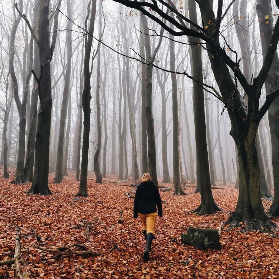 Ruth Allen seen from behind walking in a misty forest with brown leaves on the ground