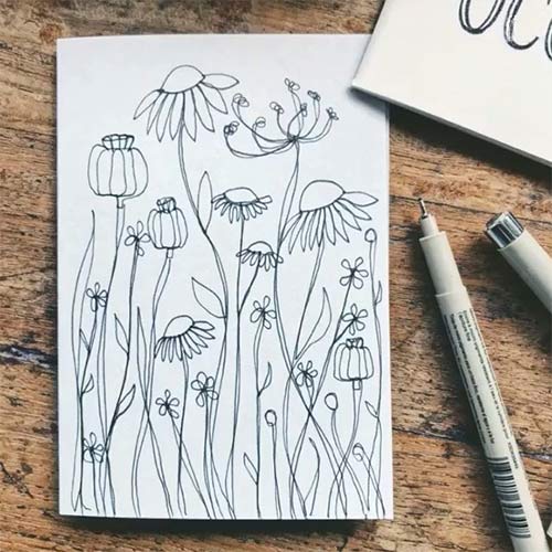 hand drawn illustrations of a poppy field