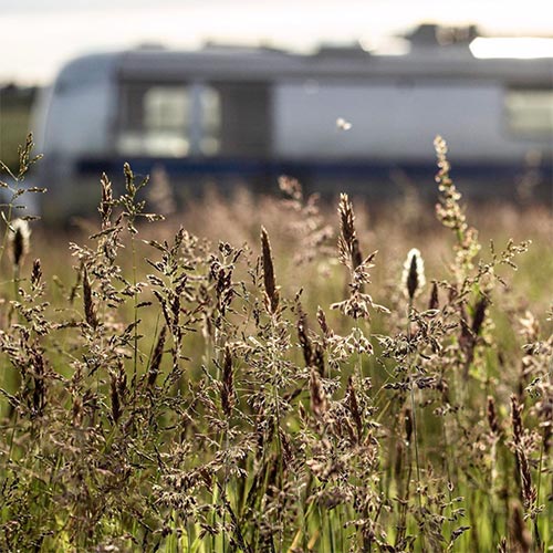 field of grass with a camper in the background that's out of focus