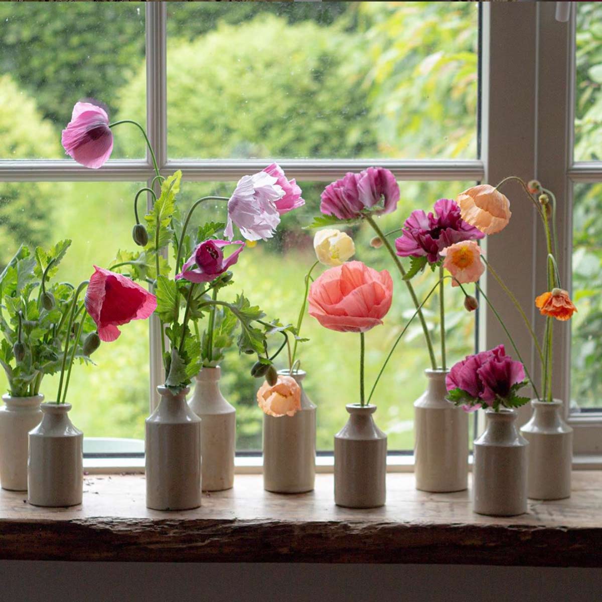 a windowsill with small vases filled with poppies