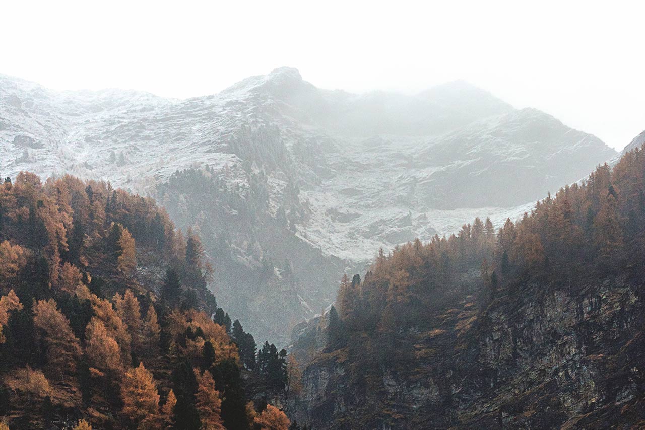 mountains, partly covered in snow and autumn colored trees