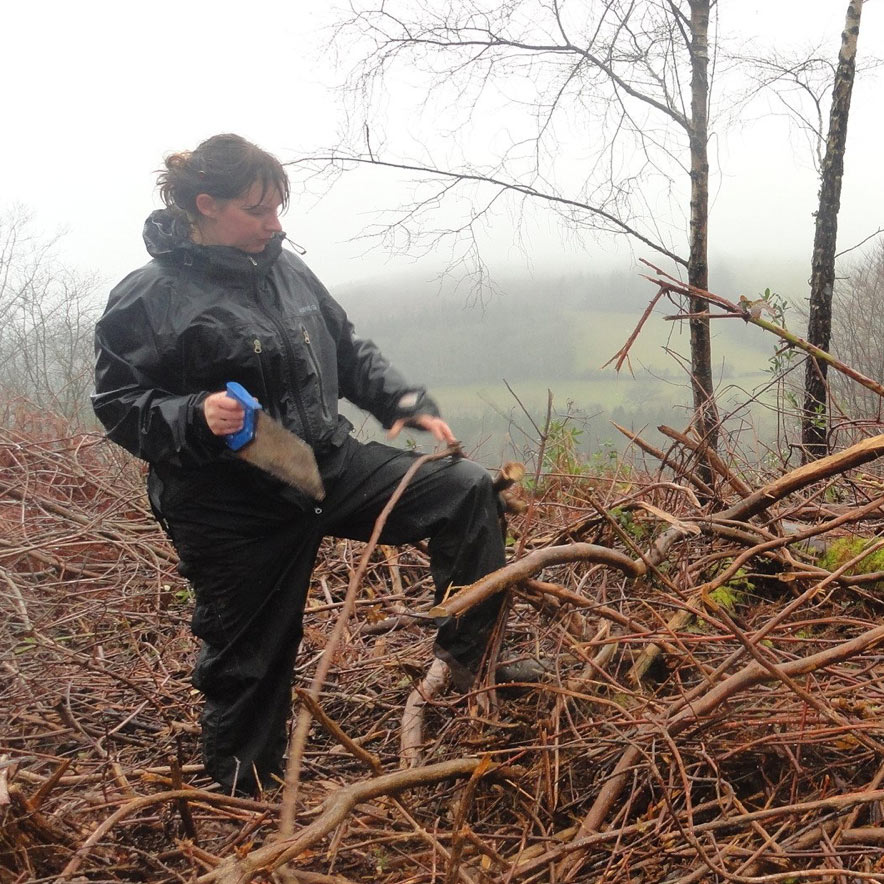 Tessa Hayward gathering materials for her woodland sculptures