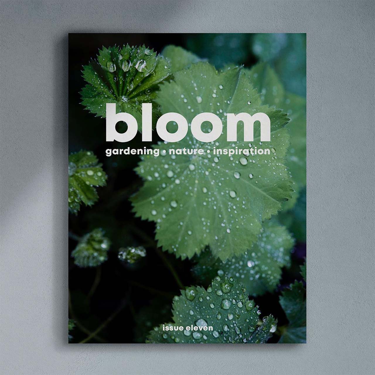 cover of bloom magazine