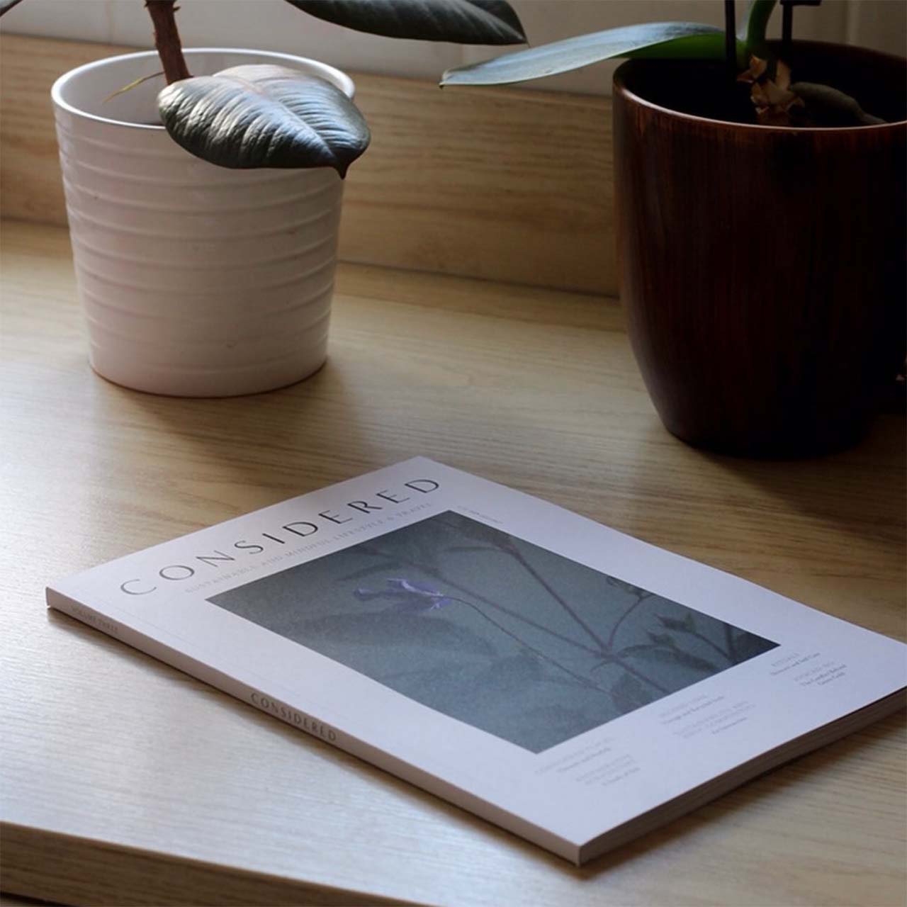 a copy of considered magazine on a wooden table with a plant next to it