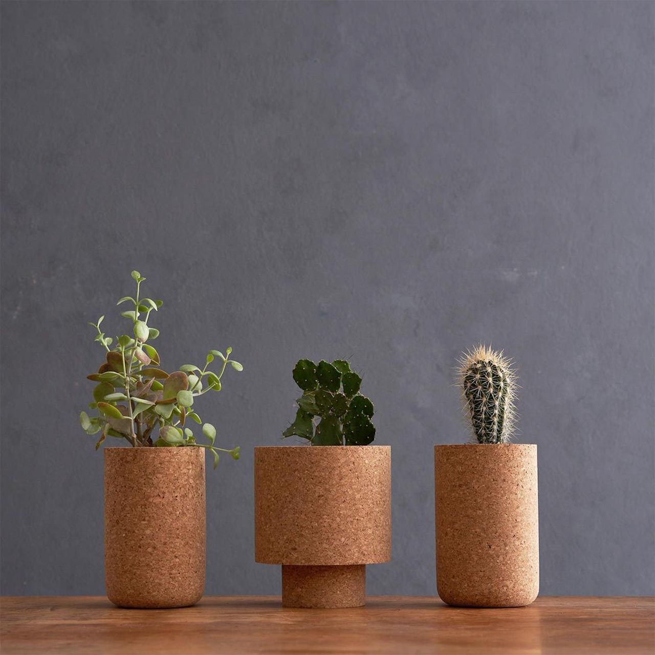 three cork planters with a different design