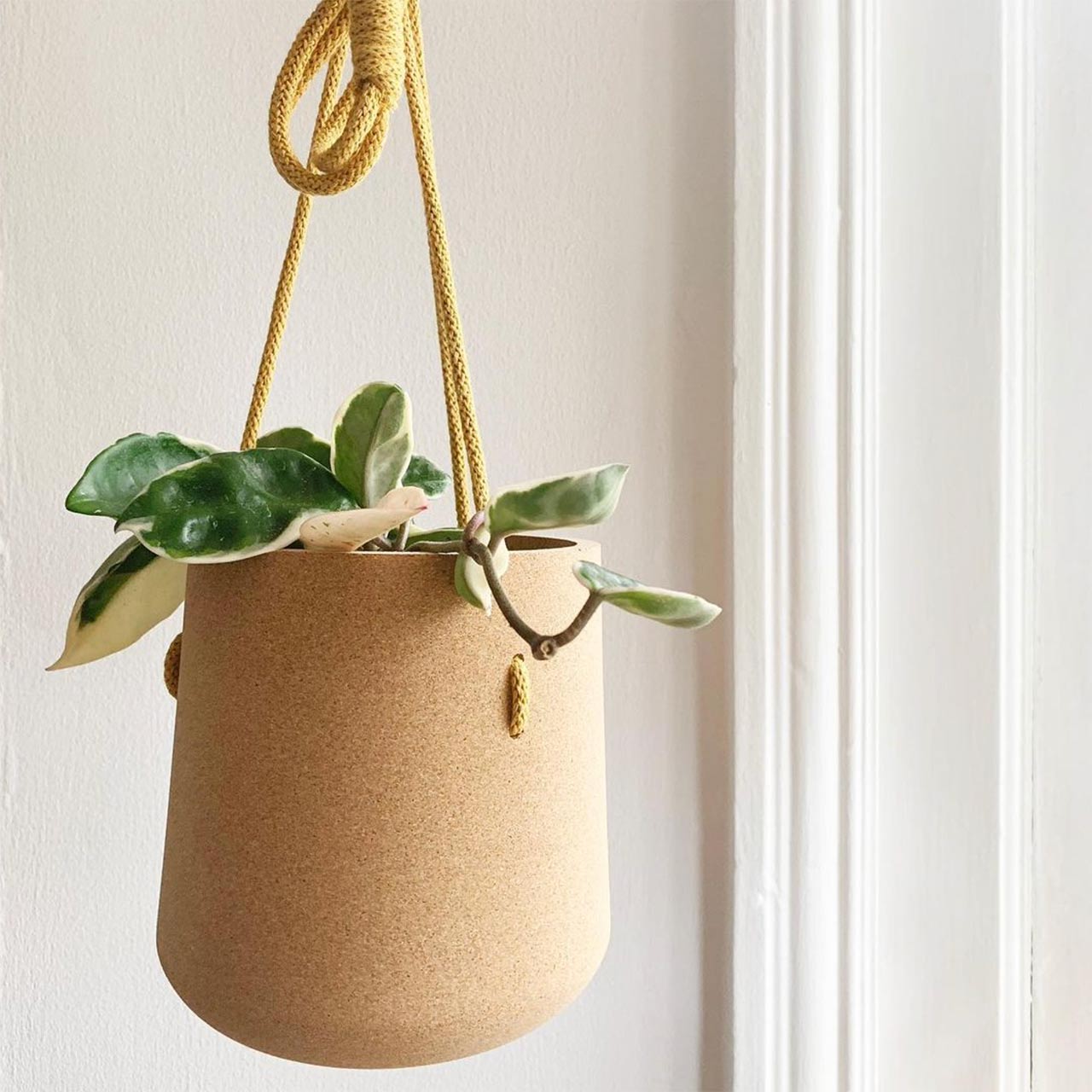 hanging cork planter