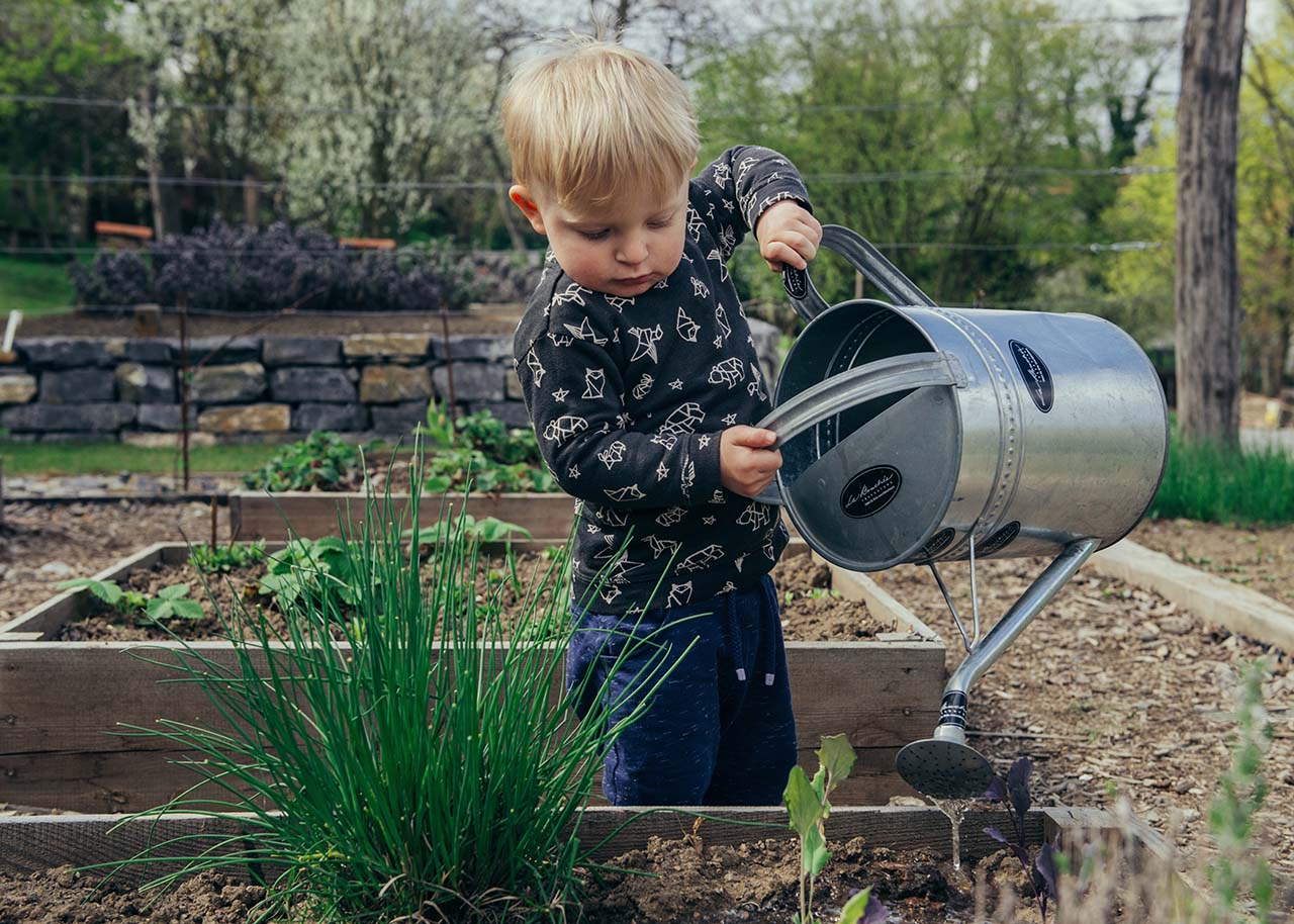 a little boy watering the vegetables in the garden - slow living with kids