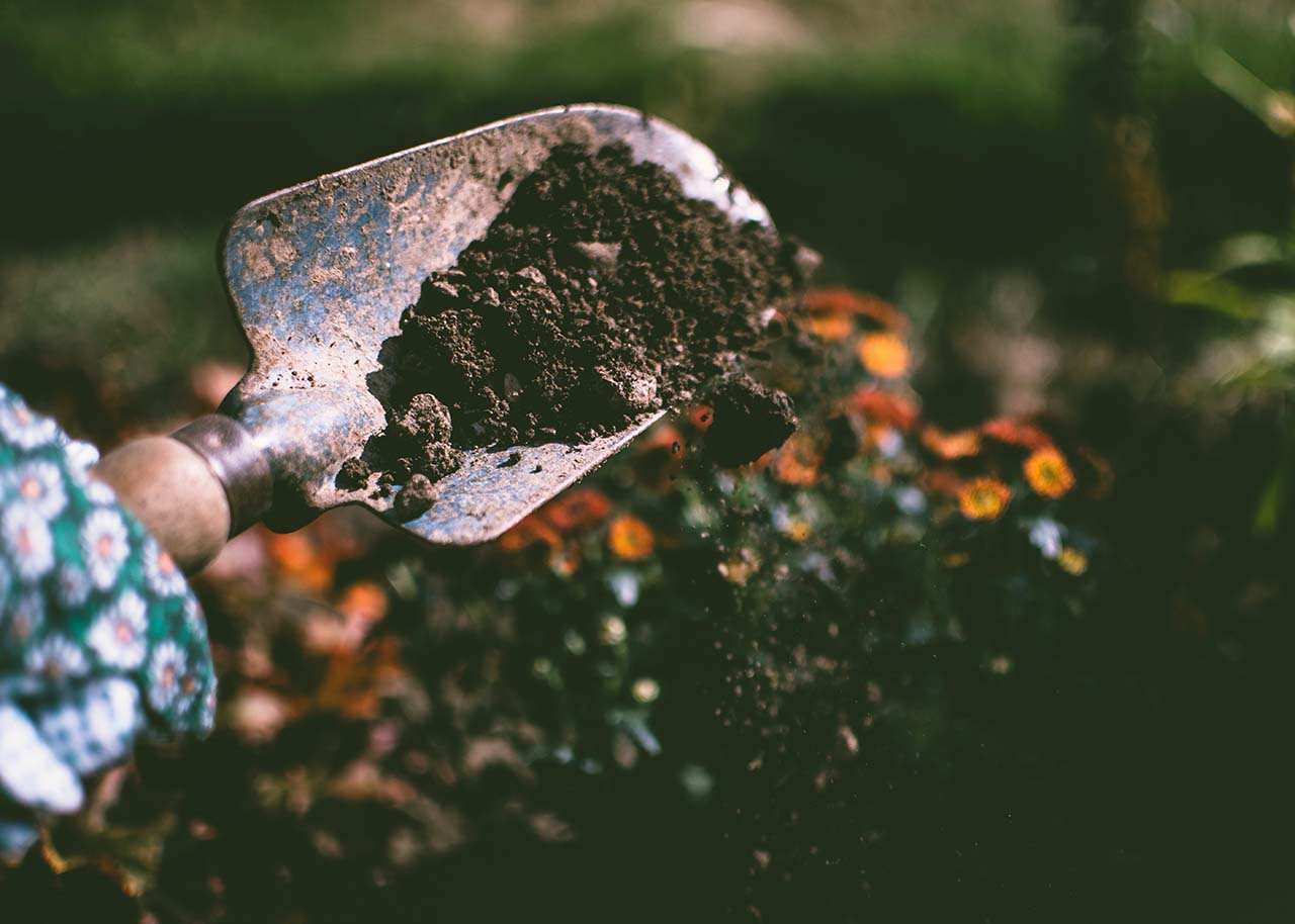 person with a small garden shovel in a garden