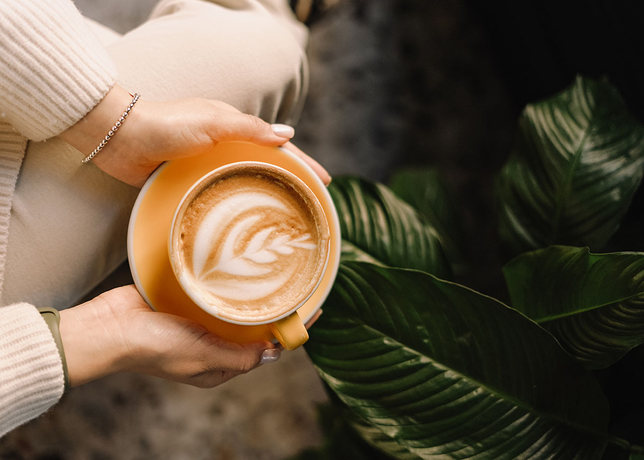 Woman's hands holding a cup of coffee