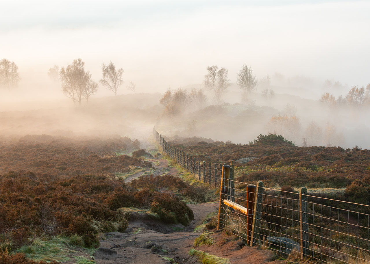 countryside view on a sunny misty morning - the slow living guide blog category nature & seasons