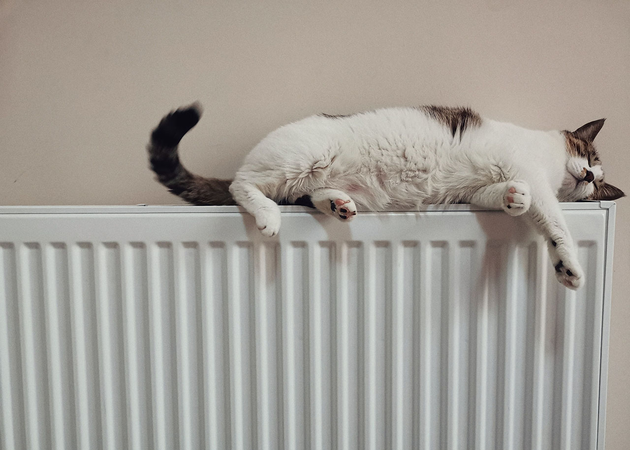 cat lying comfortable on the heater - winter home comfort