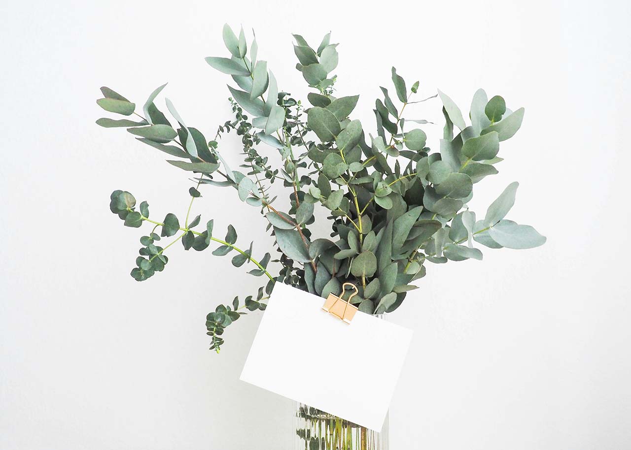 green eucalyptus in a vase with a blank note - conscious gifting