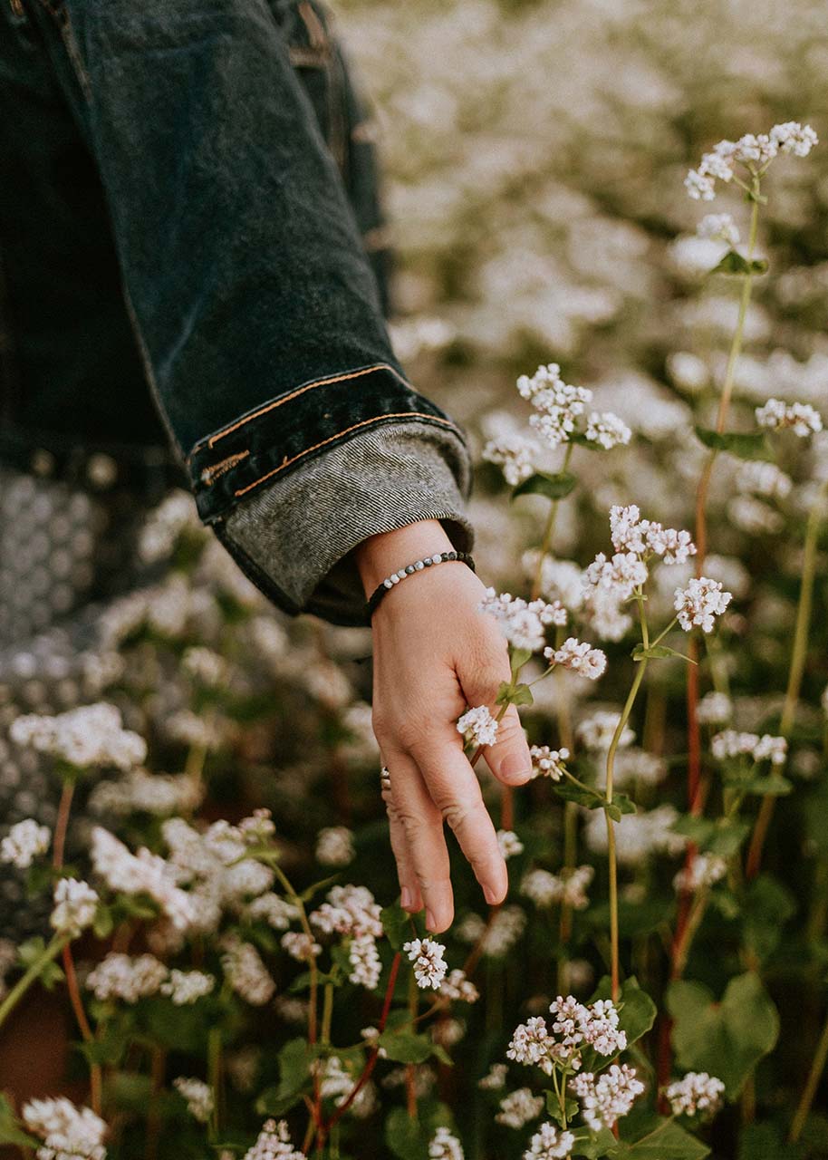 a woman's hand going through a field of flowers - the connection between slow and seasonal living