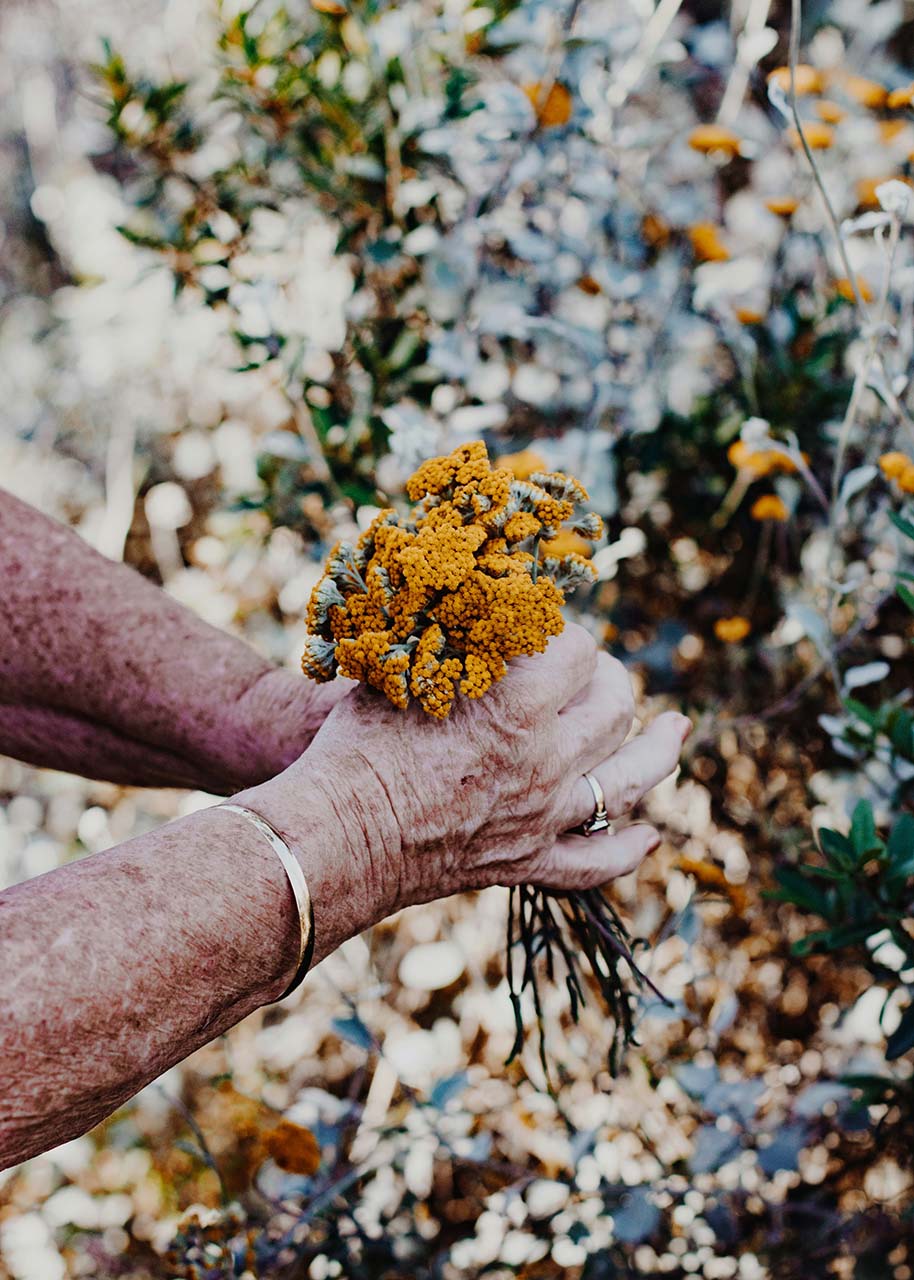 older woman's hands holding a bouquet of flowers