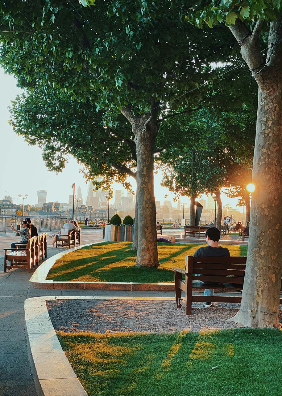 A green space in London - London's verdant oases
