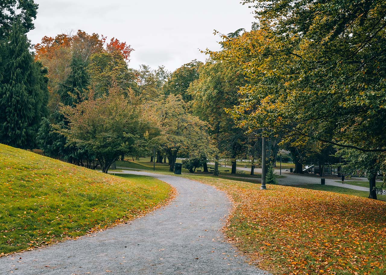Exploring Local Parks Through the Seasons at Your Own Pace