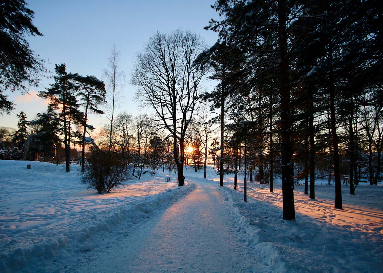 Local park - winter