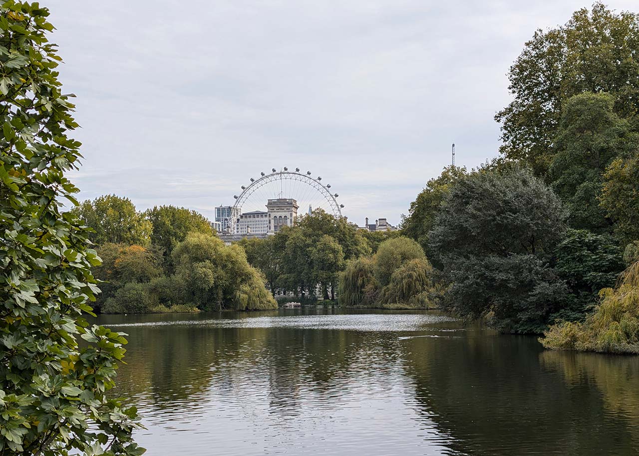 Reconnecting with Nature in London’s Verdant Oases