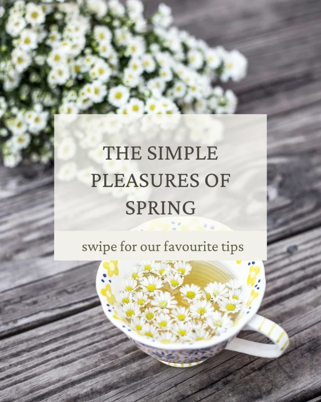 Spring is full of tiny joys—if only we take the time to notice them. What’s one small thing that makes you happy this season? 💛⁣
⁣
#SimpleJoys #SpringMagic #SlowLivingForLife #SpringVibes #MindfulnessMatters #CozyAesthetic #EverydayMagic #SeasonalJoy #theslowlivingguide